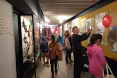 33672634_2020530518197729_8993108725468233728_n