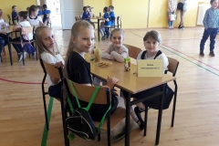 31064285_1565991126866380_156352469025161216_n