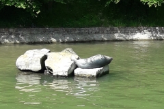 20190524_101613 (1)