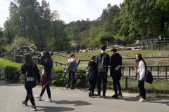 20190524_101748 (1)