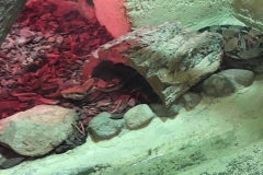 20190524_104208 (1)