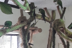 20190524_104438 (1)
