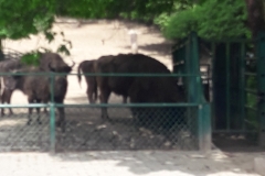 20190524_112050 (1)